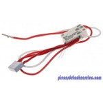 Micro interrupteur pour Centrale Vapeur Astoria