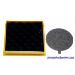 Filtre Pré-Moteur + Kit Filtre Hepa Sortie Moteur pour Aspirateurs Hoover