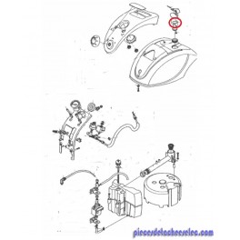 Joint de bouchon pour nettoyeur vapeur Astoria Joint de bouchon pour nettoyeur vapeur Astoria