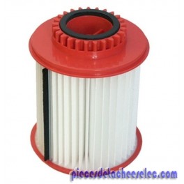 Filtre Hepa pour aspirateur Rowenta Clean control