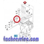Thermomètre pour Nettoyeur Vapeur DE4002 Karcher