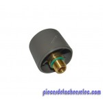 Bouchon de Remplissage pour Centrale Vapeur RC063A Astoria