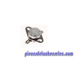 Thermostat + fusible pour nettoyeur vapeur Astoria Thermostat + fusible pour nettoyeur vapeur Astoria