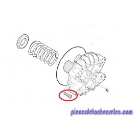 Vis pour Nettoyeur Haute Pression Eau Karcher