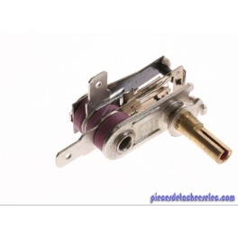 Thermostat pour Four Crousty Delice 22 L Cleantech Seb Thermostat pour Four Crousty Delice 22 L Cleantech Seb