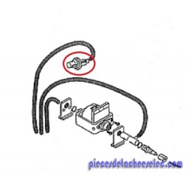 Pressostat pour Cafetière Magnum 9540 Rivieira & Bar Pressostat pour Cafetière Magnum 9540 Rivieira & Bar