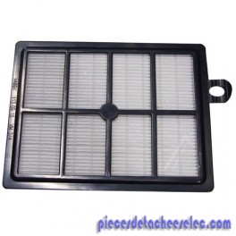 Filtre Hepa H12 pour Aspirateurs à Traineau Electrolux / Philips TORNADO