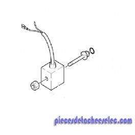 Vanne Électrique Complète pour Nettoyeur Haute Pression Karcher Vanne Électrique Complète pour Nettoyeur Haute Pression Karcher