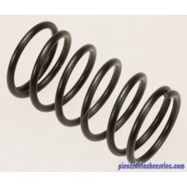 Ressort de Piston 24mm pour Nettoyeur Haute Pression Kärcher Ressort de Piston 24mm pour Nettoyeur Haute Pression Kärcher