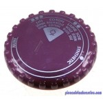 Bouton Thermostat Violet pour Centrale Vapeur EASYBOX 200 Domena