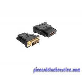 Adaptateur HDMI DVI 24 + 1 ST pour TV