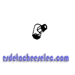 Raccord Eléctrovanne pour Générateur Vapeur D65040FO Rowenta