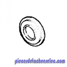 Disque pour Nettoyeur Haute Pression Karcher