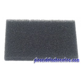Filtre Mousse Sortie Air pour Aspirateur Spacio Rowenta 