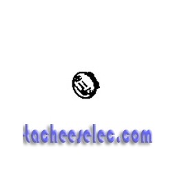Bouton Gris pour Grille-Pain Avanti Icon Krups Bouton Gris pour Grille-Pain Avanti Icon Krups