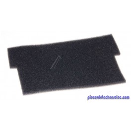 Filtre Noir pour Aspirateurs RS Rowenta 