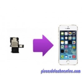 Remplacement Écouteur Interne iPhone 5S Apple