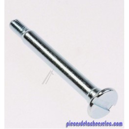 Boulon Spécial pour Aspirateur à Balai ZB5020 Ultra Power Electrolux 