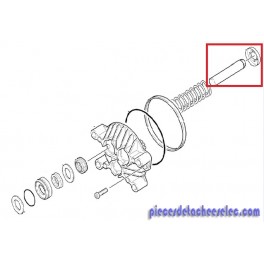 Piston Complet (seulement pour le remplacement) pour Nettoyeur Haute Pression HD 901 B Kärcher