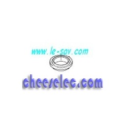 Bague D'étanchéité du Bouchon pour Nettoyeurs Vapeur Version 2 Kärcher