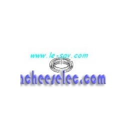 Bague D'étanchéité du Bouchon pour Nettoyeurs Vapeur Version 1 Kärcher  