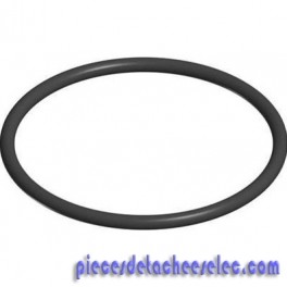 Joint Torique de Préfiltre pour Pompe Max - Flo XL Hayward