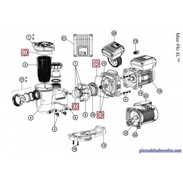 Pack de Joints pour Pompe Max - Flo XL Hayward