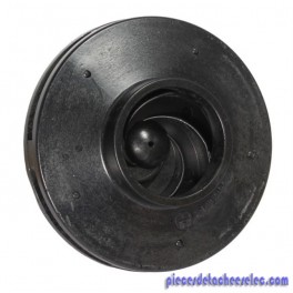 Turbine 1 CV pour Pompe Max - Flo Hayward