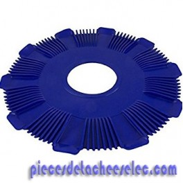 Disque pour Robot DV4000 / DV5000 / KINGRAY Hayward