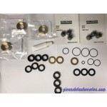 Kit de Pompe pour Nettoyeur Haute Pression Eau Froide Kärcher 