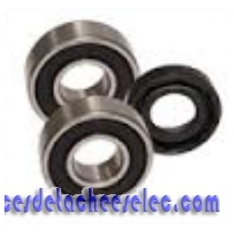 Kit Roulement Moteur pour Pompe Max - Flo II Hayward Kit Roulement Moteur pour Pompe Max - Flo II Hayward
