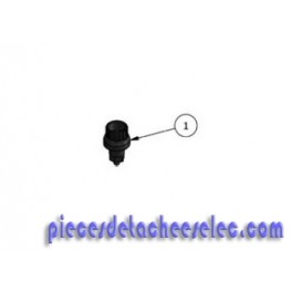 Purgeur Manuel pour Filtre Polyester Hayward