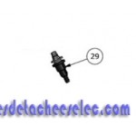 Drain pour Filtre Polyester Hayward