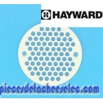 Grille Fixe pour Buse 3319 Hayward