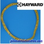 Joint Adhesif x2 pour Buse Réglable 3302/3303 Hayward