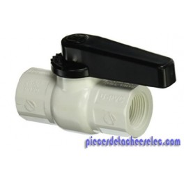 Vanne de Réglage 3/4 pour Distributeurs de Produits Chimiques Hayward