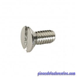 Vis de Couvercle x2 pour Pièces à Sceller Skimmer Hayward Vis de Couvercle x2 pour Pièces à Sceller Skimmer Hayward