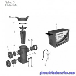 Câble de Cellule pour Traitement D'eau Saline C HCSC60E Hayward Câble de Cellule pour Traitement D'eau Saline C HCSC60E Hayward