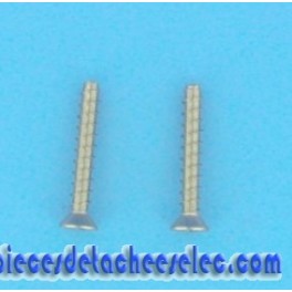 Jeu de Vis x2 pour Bonde de Fond SP1048AVE/SP1049AVE..Hayward