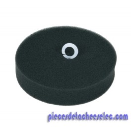 Filtre du Bac en Mousse pour Nettoyeur Vapeur Clean et Steam Rowenta