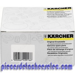 Kit de Pompe pour Nettoyeur Haute Pression HD1290S Kärcher