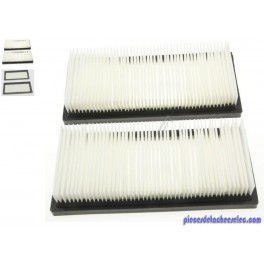 Lots de 2 Filtres Plats Nano Classe M pour Aspirateur Attix3001 Nilfisk Lots de 2 Filtres Plats Nano Classe M pour Aspirateur Attix3001 Nilfisk