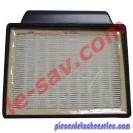 Filtre Hepa pour Aspirateur Hoover