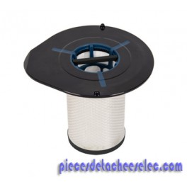 Filtre mousse pour Air Force 560 Rowenta