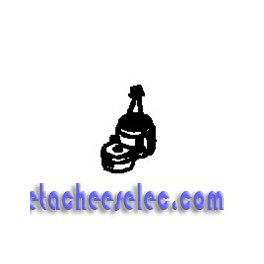 Moteur / Brossette pour Robot Aspirateur Rowenta