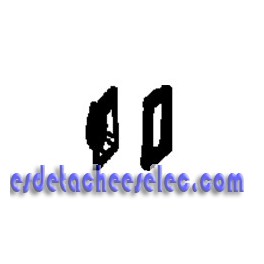 Filtre pour Robot Aspirateur Rowenta Filtre pour Robot Aspirateur Rowenta