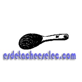 Cuillère pour Cuiseur a Riz WMF Cuillère pour Cuiseur a Riz WMF