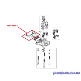 Kit Valve Pression pour Nettoyeur Haute Pression Nilfisk Kit Valve Pression pour Nettoyeur Haute Pression Nilfisk