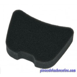 Filtre Mousse Sortie D'air pour Aspirateur Air Force 560 Rowenta