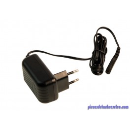 Transformateur 220 V Fiche IT pour Aspirateur Balais Delonghi
